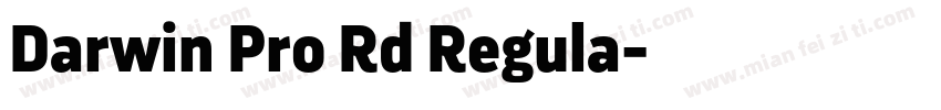 Darwin Pro Rd Regula字体转换